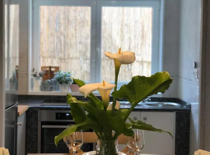 Casa Casco Antiguo A Guarda